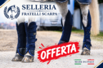 PARACOLPI DA TRASPORTO PER CAVALLI EQUITHEME